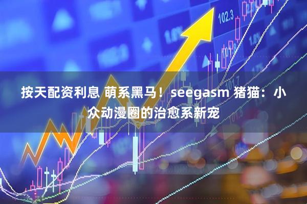 按天配资利息 萌系黑马！seegasm 猪猫：小众动漫圈的治愈系新宠
