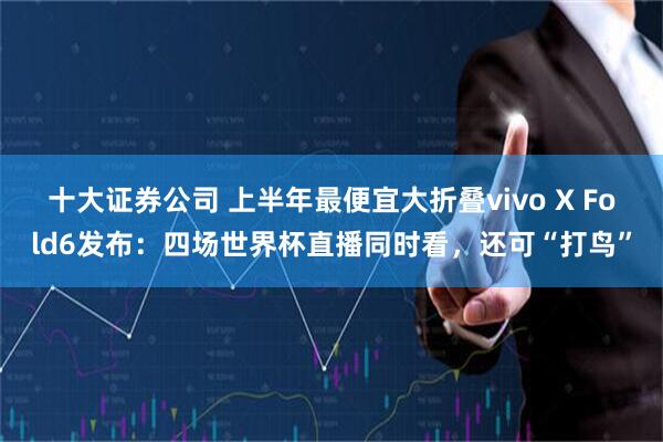 十大证券公司 上半年最便宜大折叠vivo X Fold6发布：四场世界杯直播同时看，还可“打鸟”