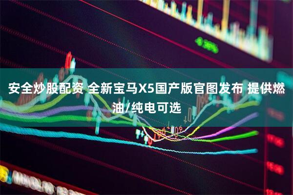 安全炒股配资 全新宝马X5国产版官图发布 提供燃油/纯电可选